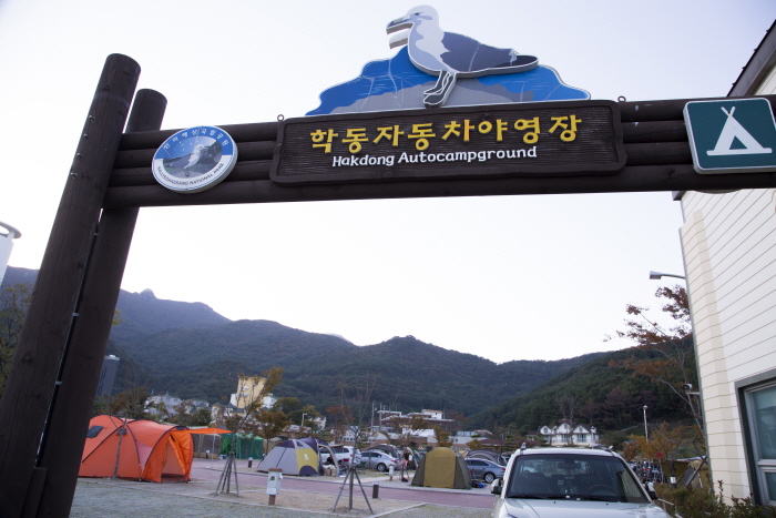 Hakdong Auto Campging Site (학동자동차야영장)