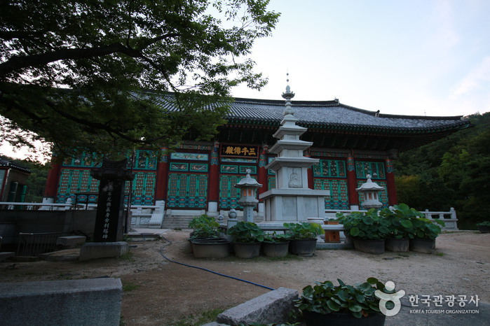 Temple Bongwonsa (봉원사)