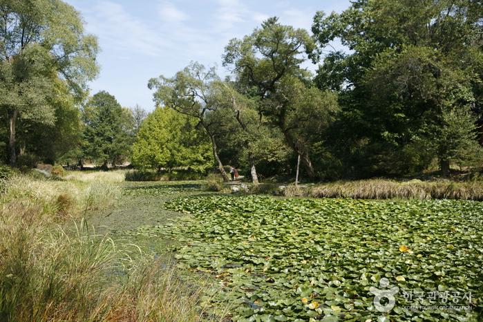 Arboretum national de Corée et musée de la forêt (국립수목원)