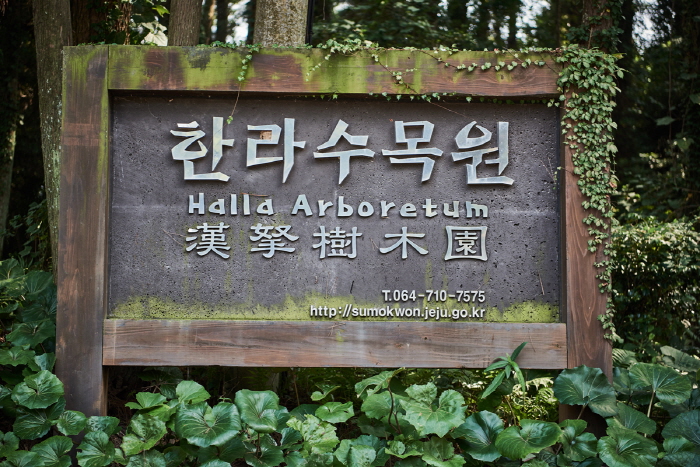 Halla Arboretum (한라수목원)