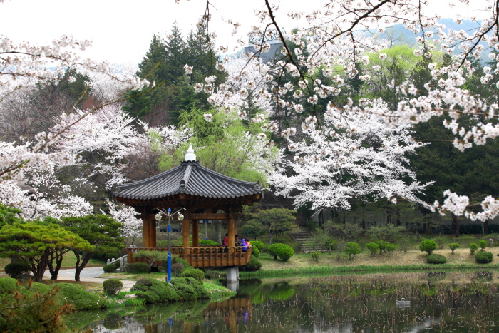 보문정 (경주) 사진3