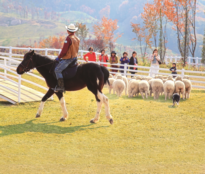 증평 에듀팜(블랙스톤 벨포레 리조트)4