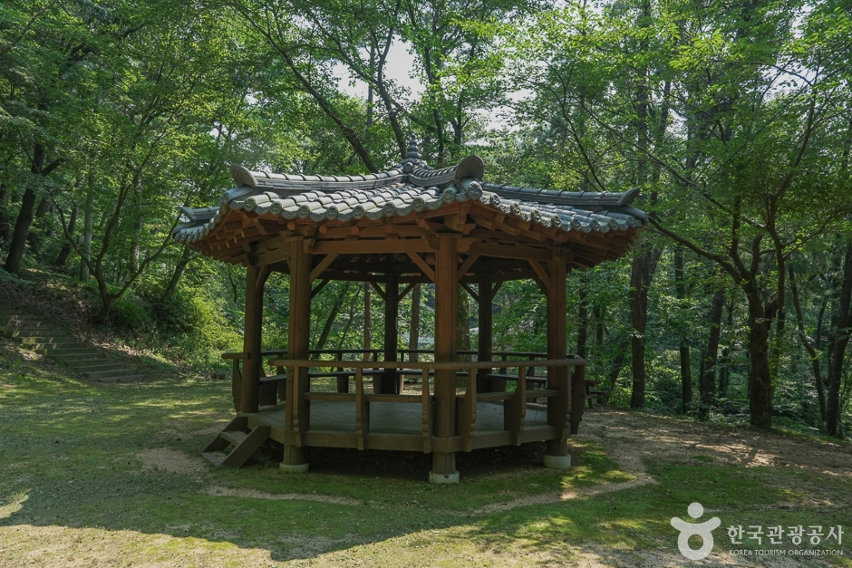 마니산국민관광지(8)