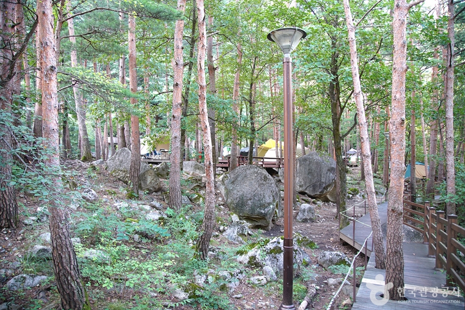 Mureunggyegok Valley Healing Campground (무릉계곡 힐링캠핑장)