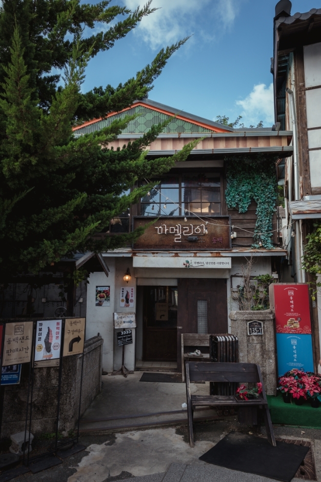 山茶花酒館(까멜리아인구룡포)