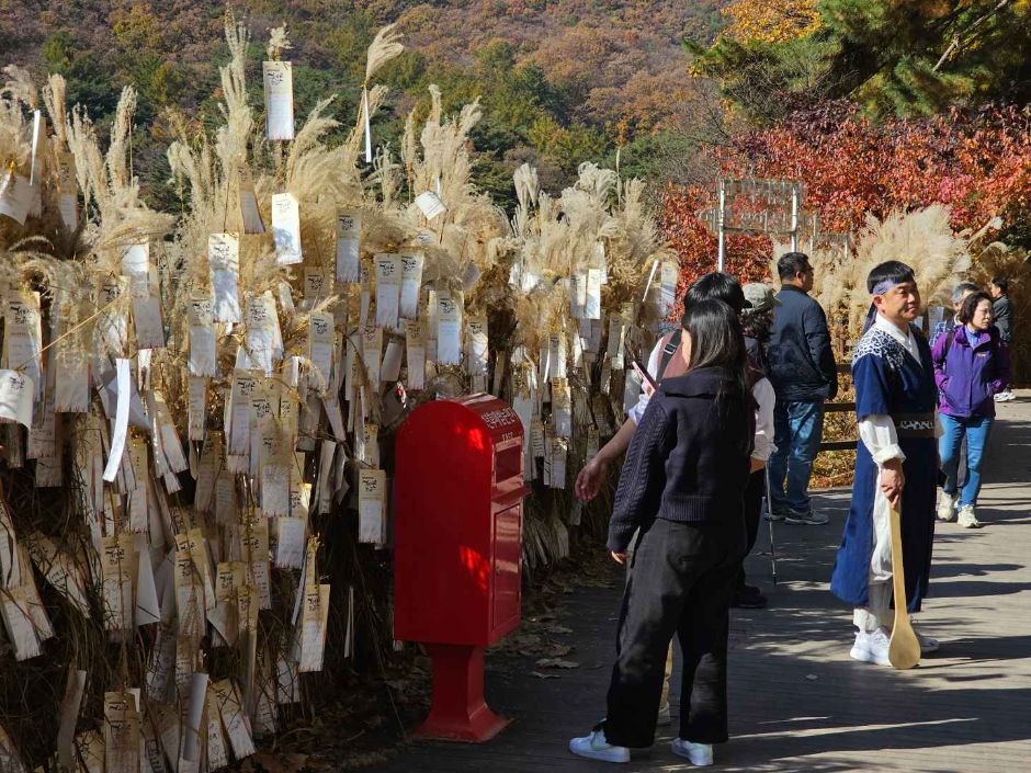 포천 산정호수 명성산 억새꽃축제