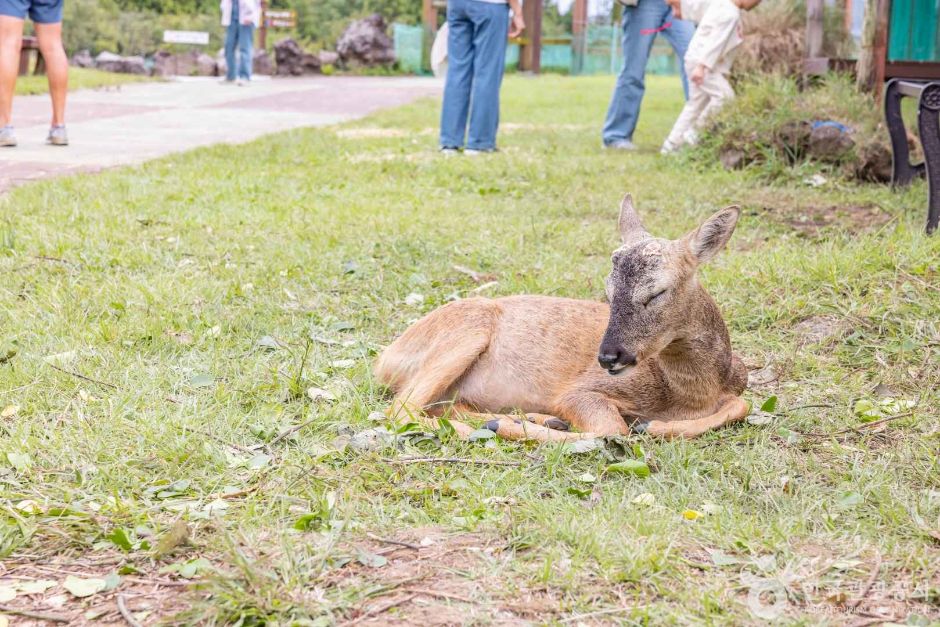 thumbnail-제주자연생태공원-6