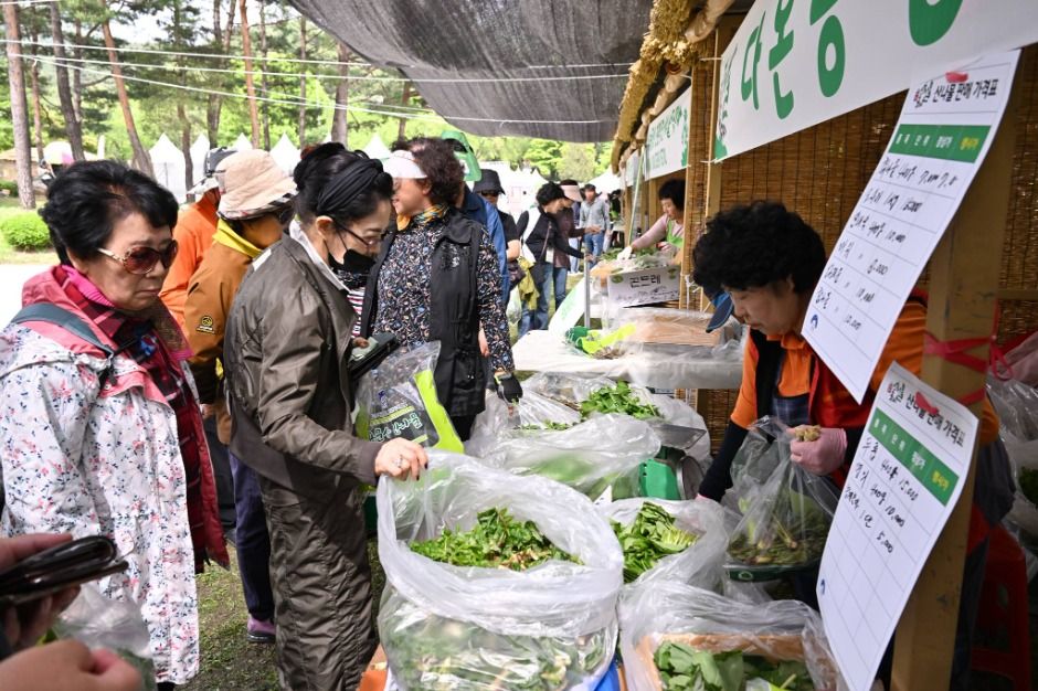 2025 양평 용문산 산나물축제 2