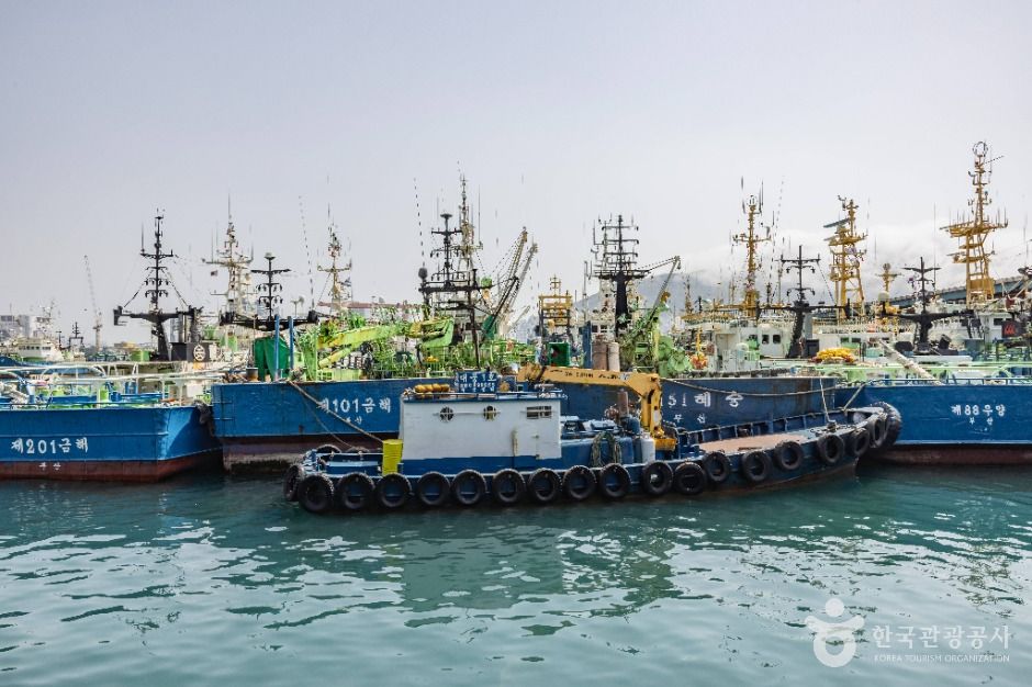부산_부산공동어시장 (4)