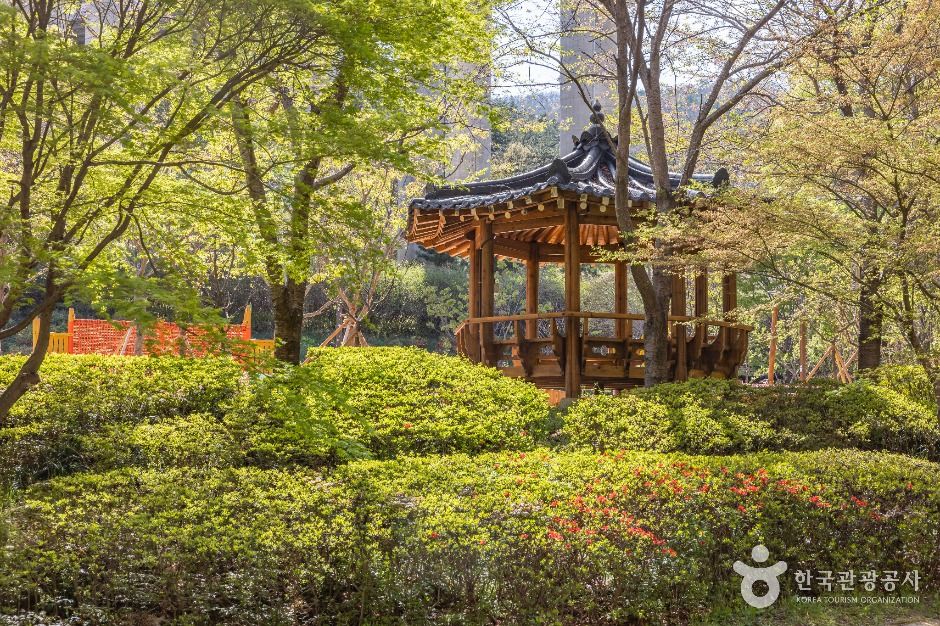 용소웰빙공원