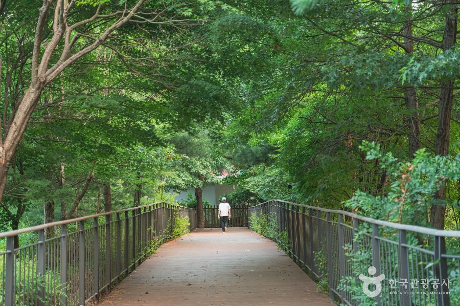 우장산공원