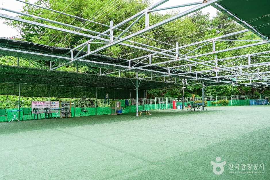 울산애견공원