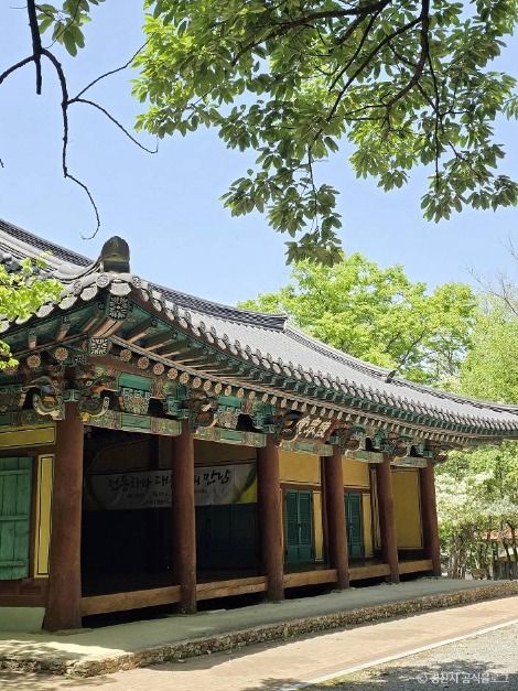 자인계정숲(경산 자인의계정숲)