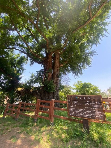 [경기옛길 의주길 제2길] 고양관청길