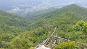 대구_최정산 (5)