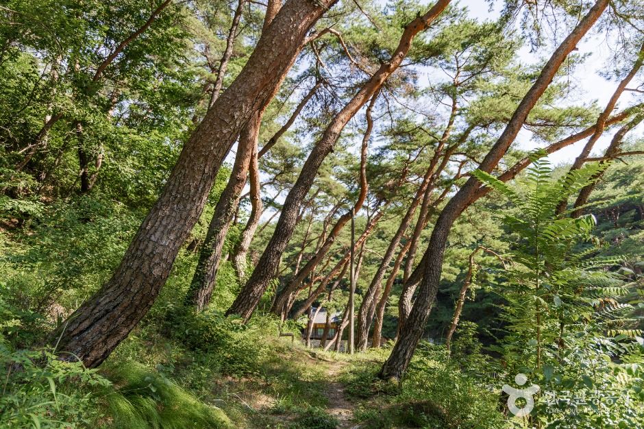 봉화_석천계곡 (3)