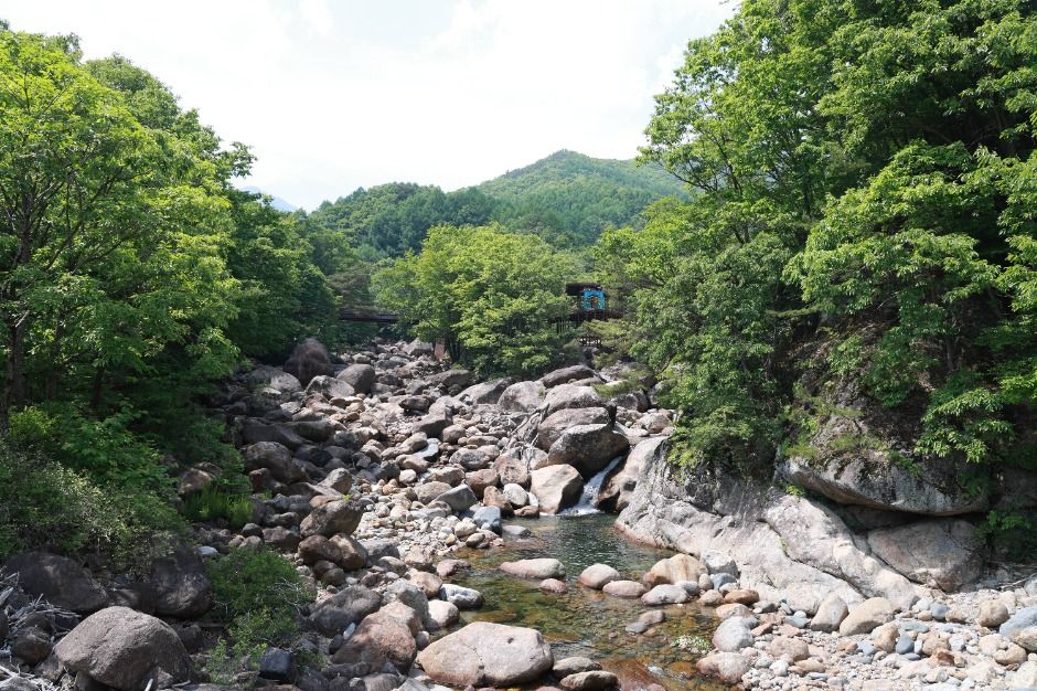 산청_중산리계곡 (2)