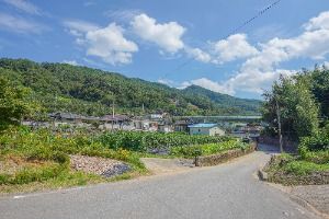 전남_곡성 하늘나리마을 (4)