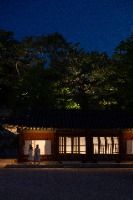 서울_창경궁 (11)