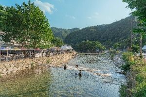 포천_백운계곡(한탄강 유네스코 세계지질공원) (3)