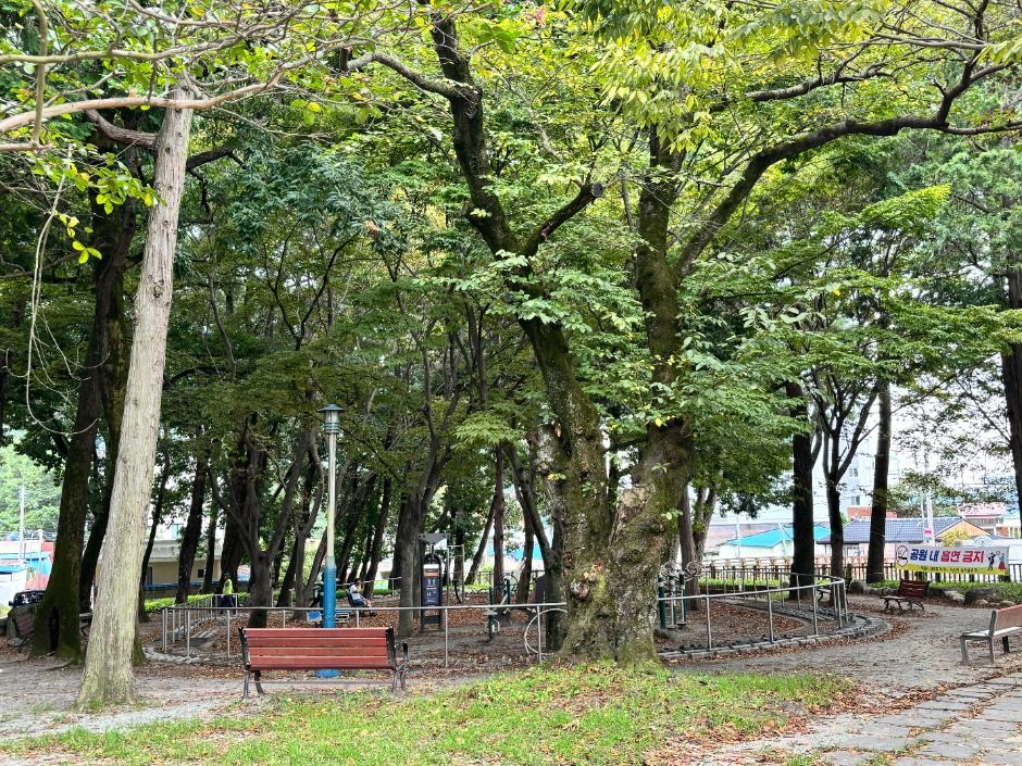 임내숲 어린이공원