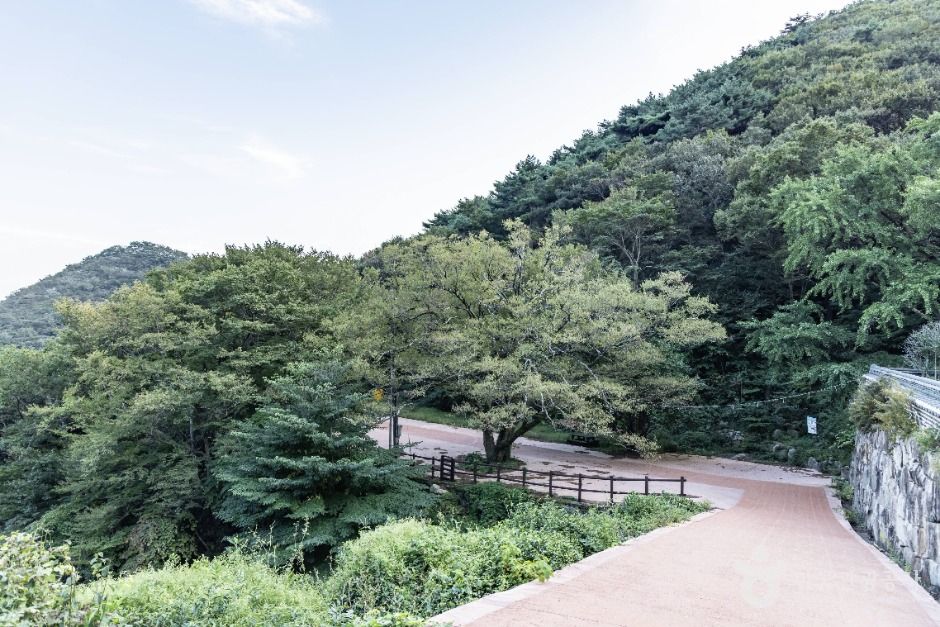 호구산군립공원