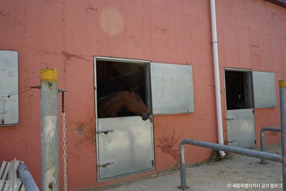 세종_세종스테이블 (3)