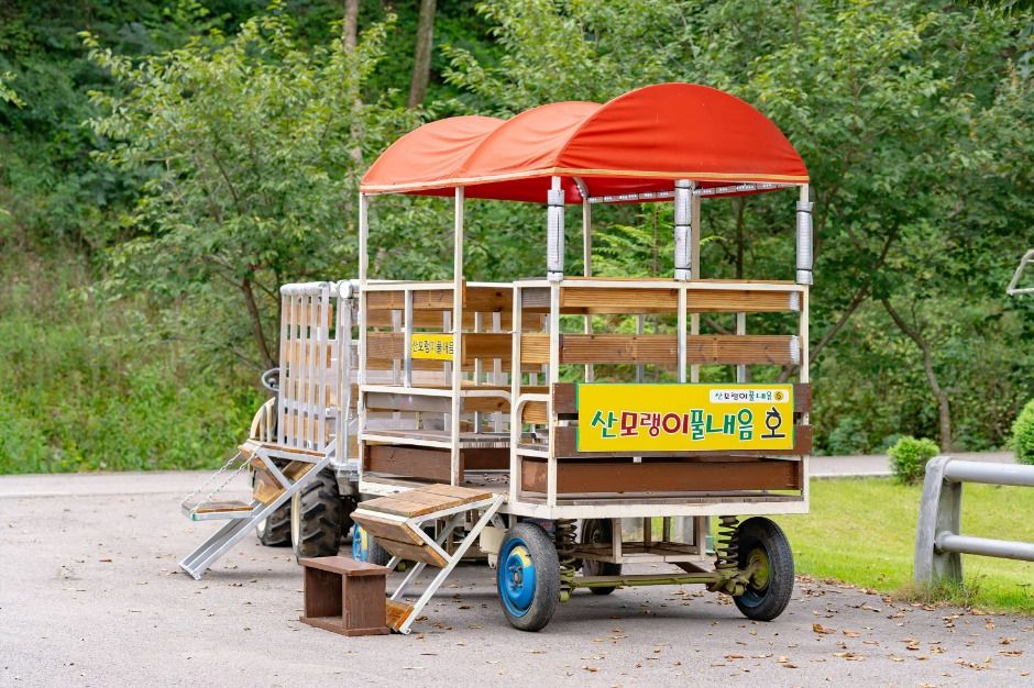 보은_산모랭이풀내음 (3)