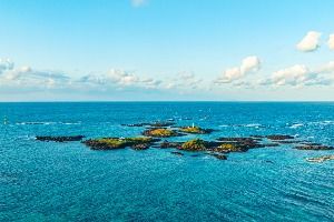 제주_다려도 (2)