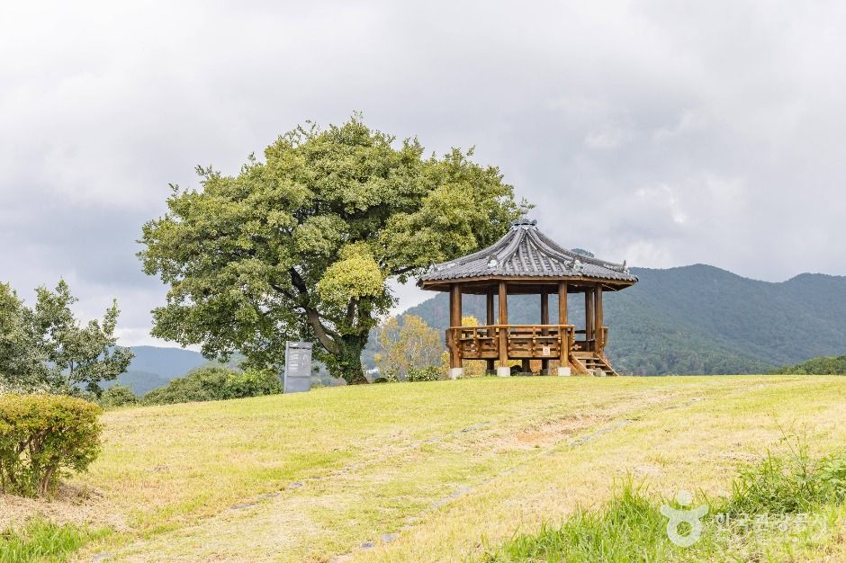 thumbnail-당포성지-1