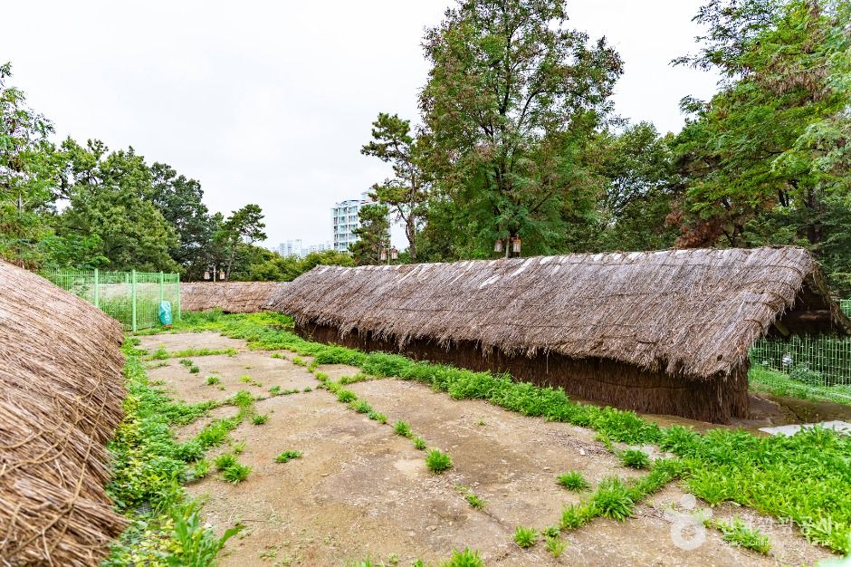 불당동 유적공원 (선사유적지 공원)