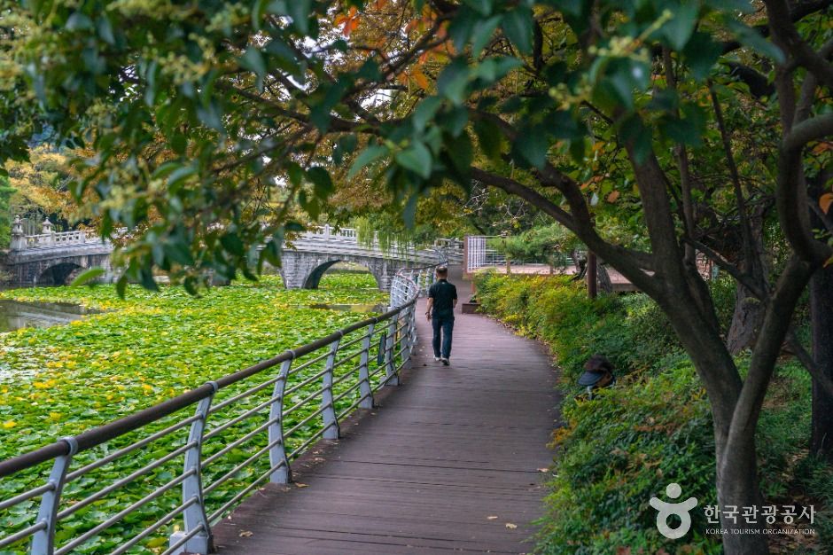 thumbnail-성당못-2