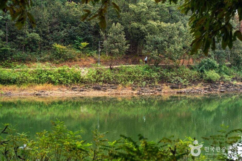 [대구올레 팔공산 6코스] 단산지 가는 길
