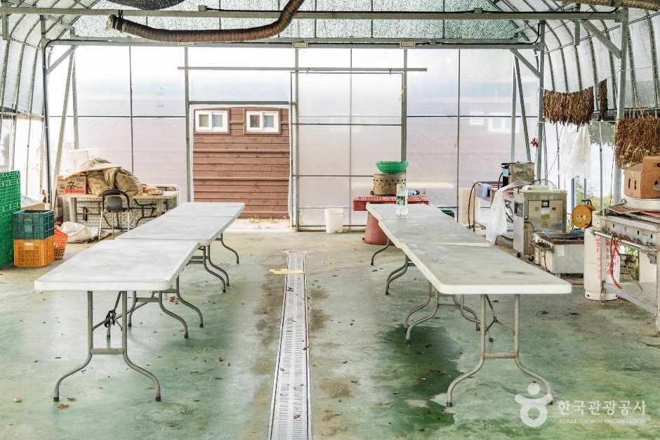 thumbnail-백마권역마을-4