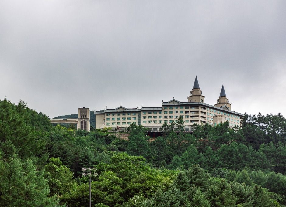 정선_하이원 팰리스호텔 (1)