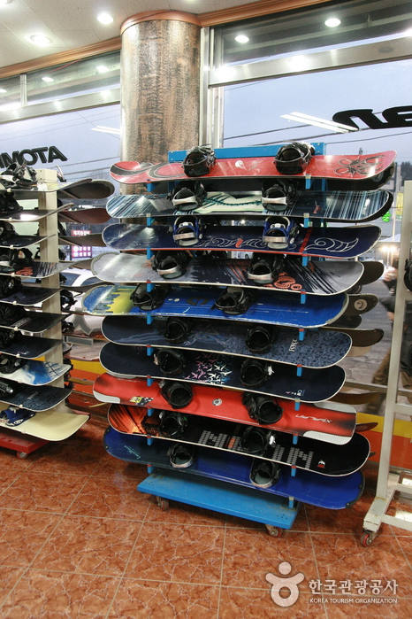 알프스스키월드2