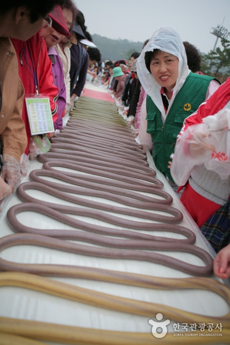 Icheon Rice Cultural Festival (이천쌀문화축제)