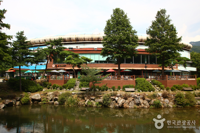 Seoul Grand Park (서울대공원-서울동물원)