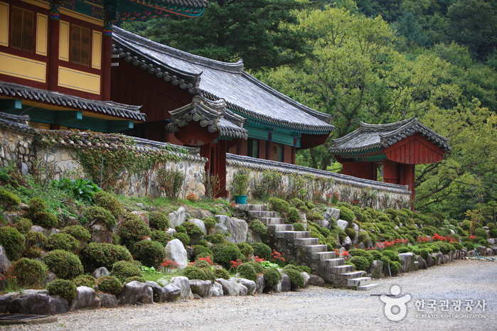 표충사(밀양) 사진12
