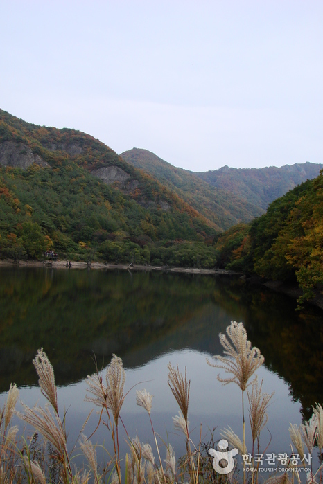 Jusanji Pond (주산지)
