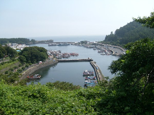 Jeju Hiking Inn (제주하이킹INN)