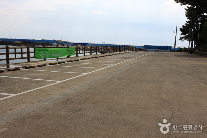 [제주올레 8코스] 월평-대평 올레9