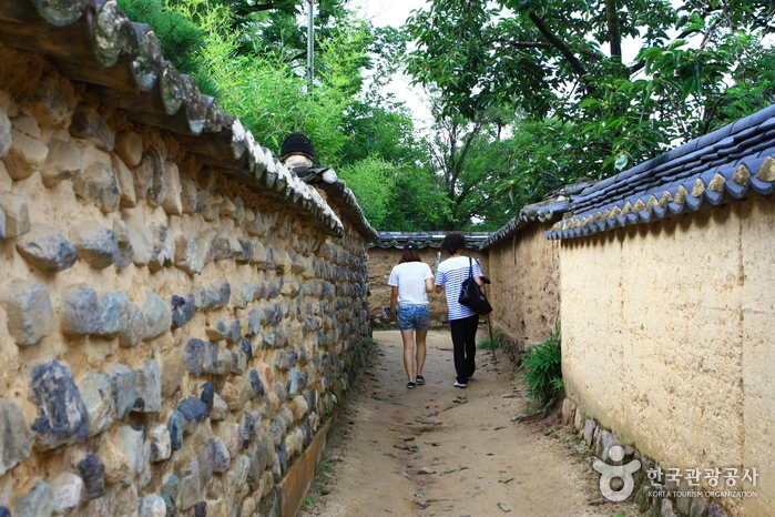 Andong Hahoe Village [UNESCO World Heritage] (안동 하회마을)