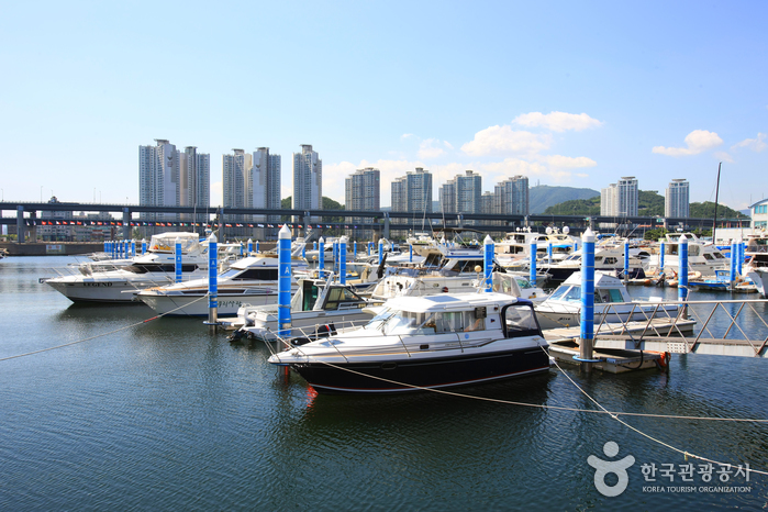 Centre de voile de la baie de Suyeong à Busan (수영만 요트경기장)8