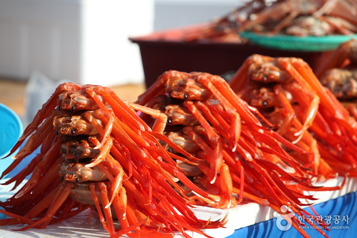 Mercado de Pescado de Jumunjin en Gangneung (강릉 주문진수산시장)