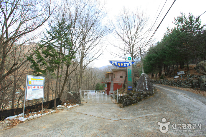 Wondong Recreational Forest (원동자연휴양림)