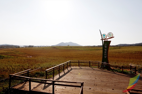 Borinara Hagwon Farm (보리나라 학원농장)