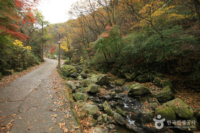 Mudeungsan National Park (무등산국립공원)