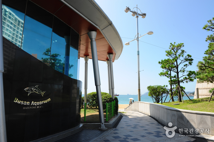 Busan Aquarium (부산아쿠아리움)