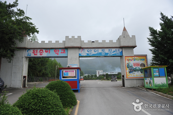 Monkey School (원숭이학교)